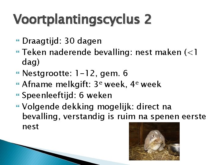 Voortplantingscyclus 2 Draagtijd: 30 dagen Teken naderende bevalling: nest maken (<1 dag) Nestgrootte: 1