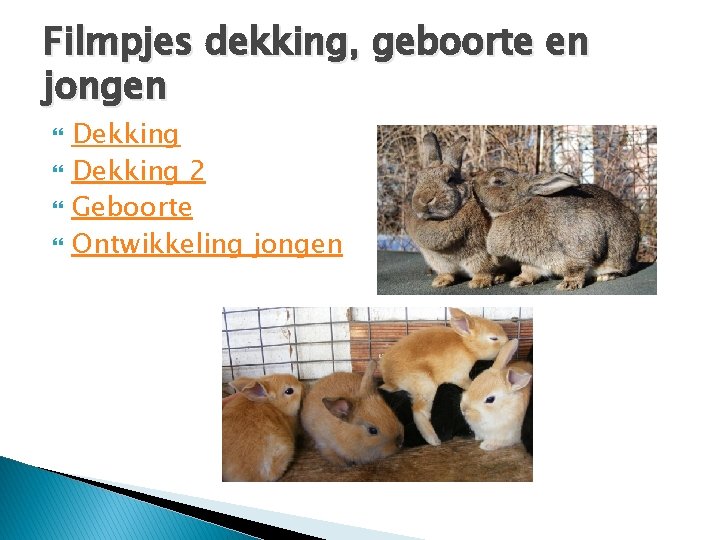 Filmpjes dekking, geboorte en jongen Dekking 2 Geboorte Ontwikkeling jongen 