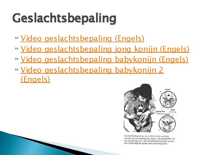 Geslachtsbepaling Video geslachtsbepaling (Engels) jong konijn (Engels) babykonijn 2 