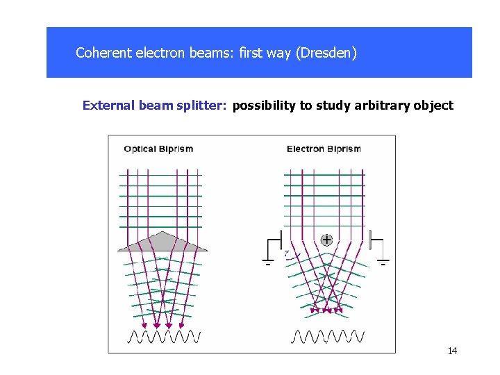 Coherent electron beams: first way (Dresden) External beam splitter: possibility to study arbitrary object