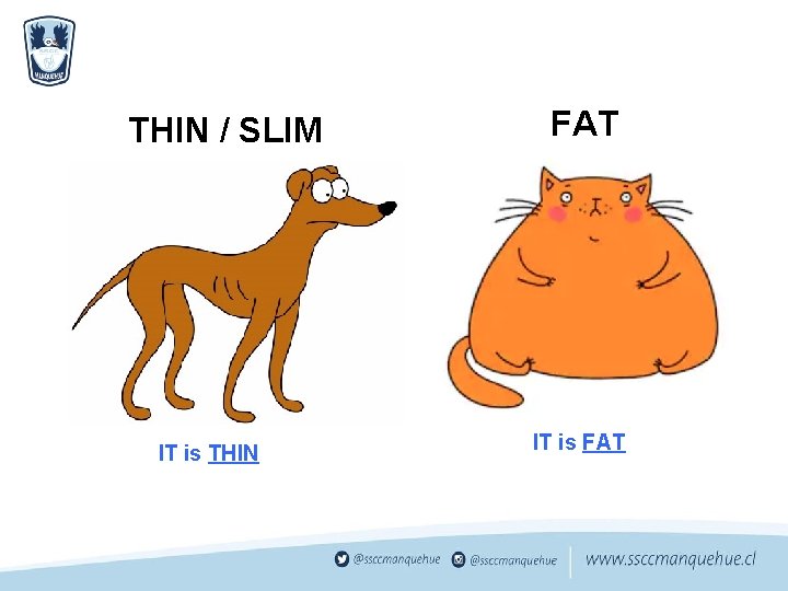 THIN / SLIM IT is THIN FAT IT is FAT 