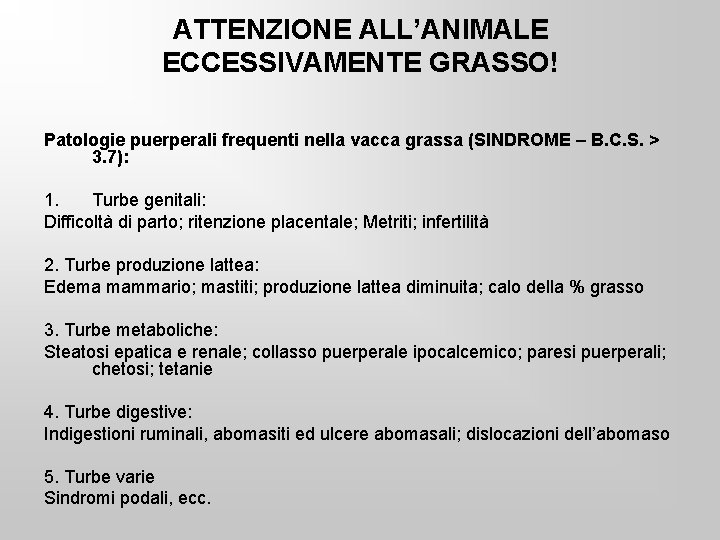 ATTENZIONE ALL’ANIMALE ECCESSIVAMENTE GRASSO! Patologie puerperali frequenti nella vacca grassa (SINDROME – B. C.