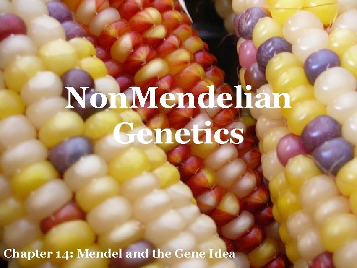 Non. Mendelian Genetics Chapter 14: Mendel and the Gene Idea 