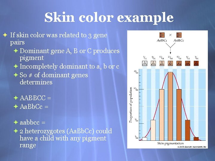 Skin color example If skin color was related to 3 gene pairs Dominant gene