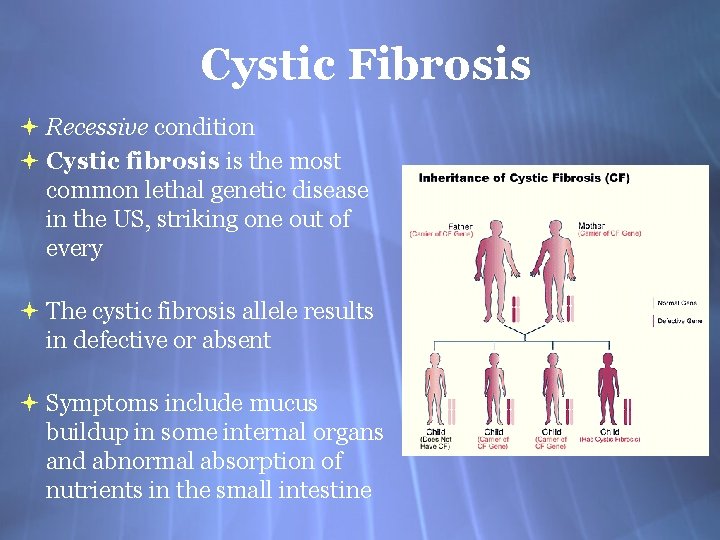 Cystic Fibrosis Recessive condition Cystic fibrosis is the most common lethal genetic disease in