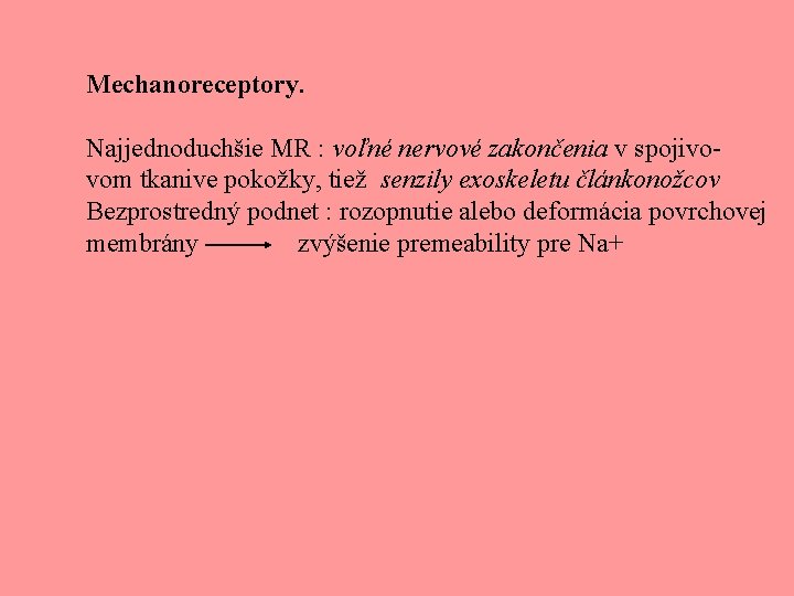 Mechanoreceptory. Najjednoduchšie MR : voľné nervové zakončenia v spojivovom tkanive pokožky, tiež senzily exoskeletu