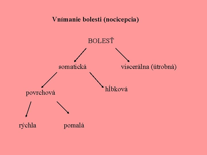 Vnímanie bolesti (nocicepcia) BOLESŤ somatická viscerálna (útrobná) povrchová rýchla pomalá hĺbková 