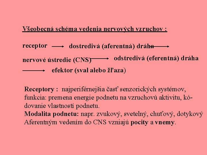 Všeobecná schéma vedenia nervových vzruchov : receptor dostredivá (aferentná) dráha odstredivá (eferentná) dráha nervové