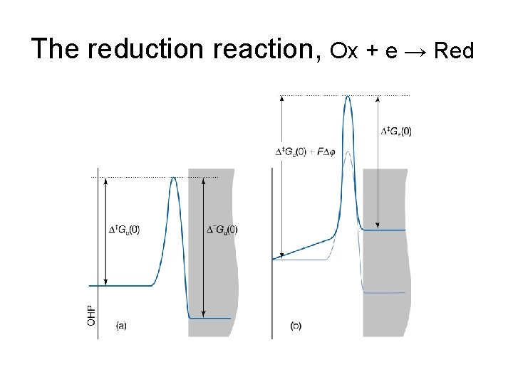 The reduction reaction, Ox + e → Red 