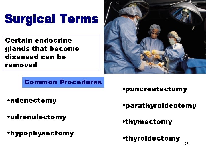 Surgical Terms Certain endocrine glands that become diseased can be removed Common Procedures •