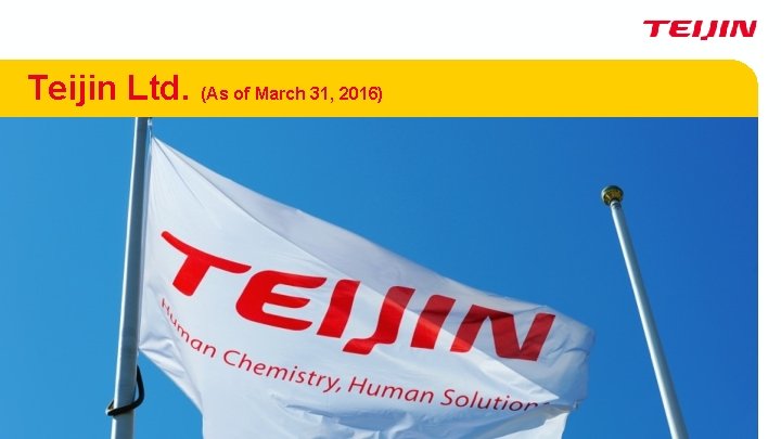 Teijin Ltd. (As of March 31, 2016) 