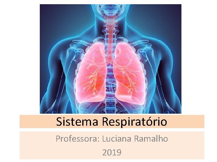 Sistema Respiratório Professora: Luciana Ramalho 2019 