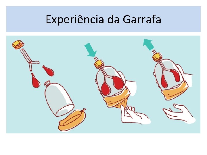 Experiência da Garrafa 