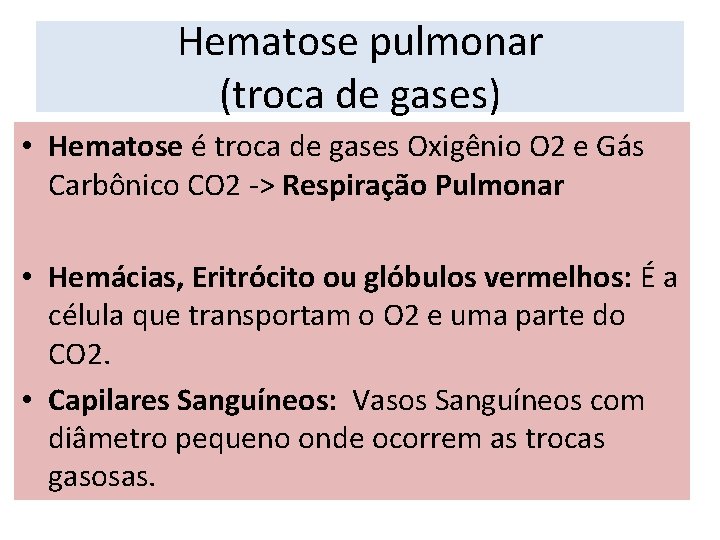 Hematose pulmonar (troca de gases) • Hematose é troca de gases Oxigênio O 2