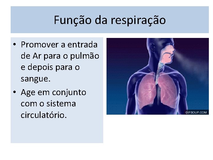 Função da respiração • Promover a entrada de Ar para o pulmão e depois