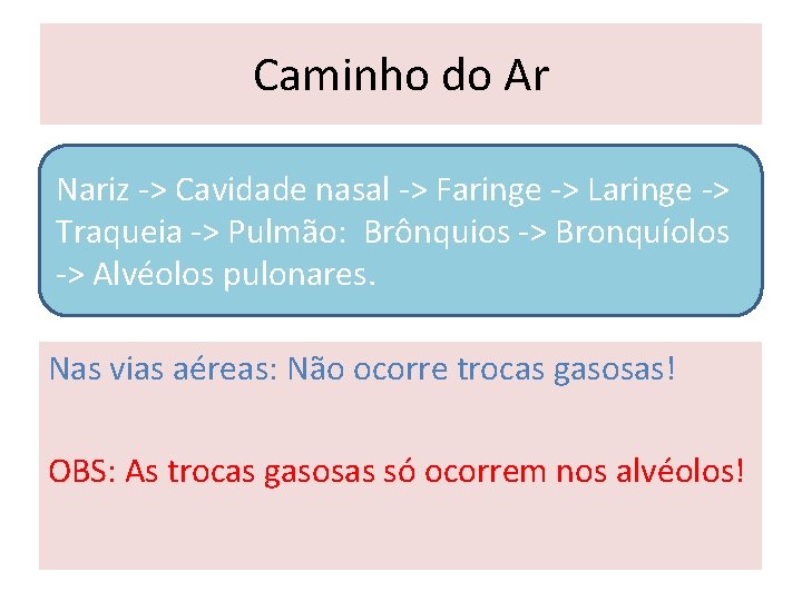 Caminho do Ar Nariz -> Cavidade nasal -> Faringe -> Laringe -> Traqueia ->