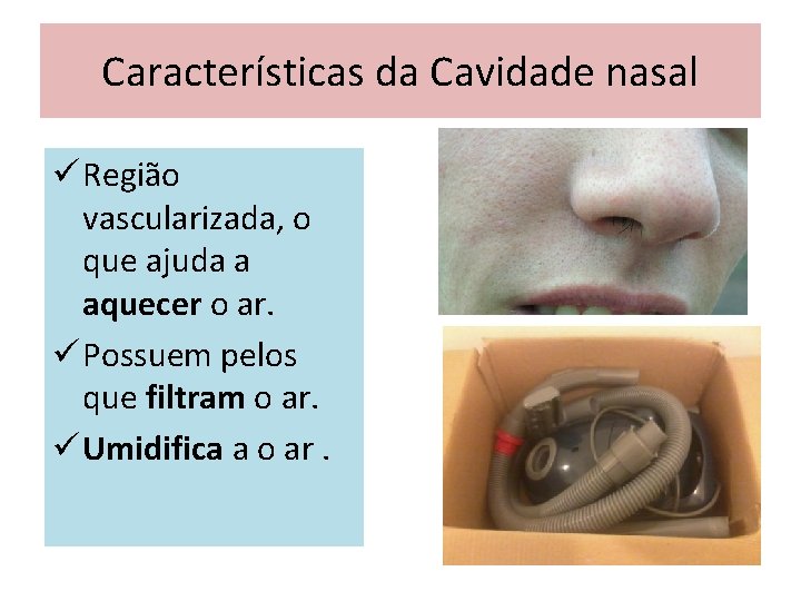 Características da Cavidade nasal ü Região vascularizada, o que ajuda a aquecer o ar.