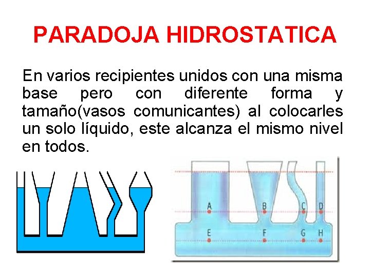 PARADOJA HIDROSTATICA En varios recipientes unidos con una misma base pero con diferente forma PARADOJA HIDROSTATICA En varios recipientes unidos con una misma base pero con diferente forma