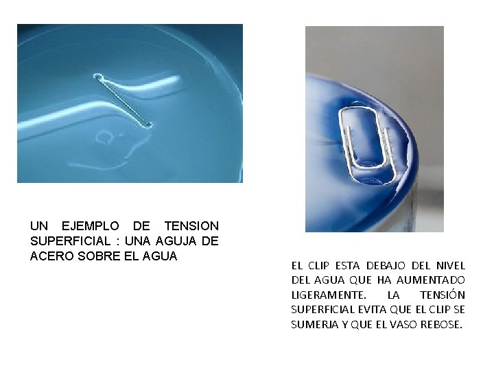 UN EJEMPLO DE TENSION SUPERFICIAL : UNA AGUJA DE ACERO SOBRE EL AGUA EL UN EJEMPLO DE TENSION SUPERFICIAL : UNA AGUJA DE ACERO SOBRE EL AGUA EL