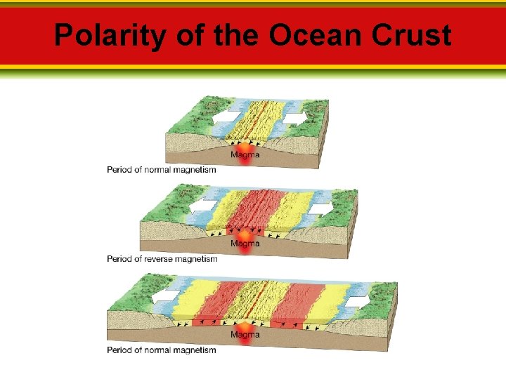 Polarity of the Ocean Crust 