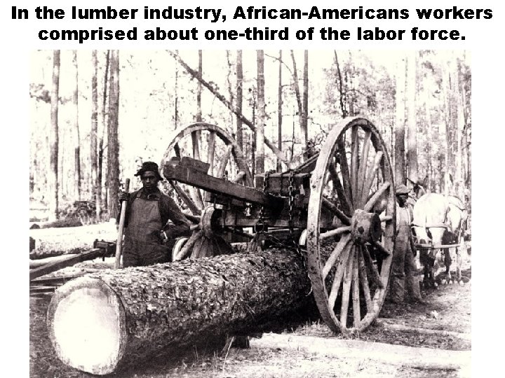 In the lumber industry, African-Americans workers comprised about one-third of the labor force. 