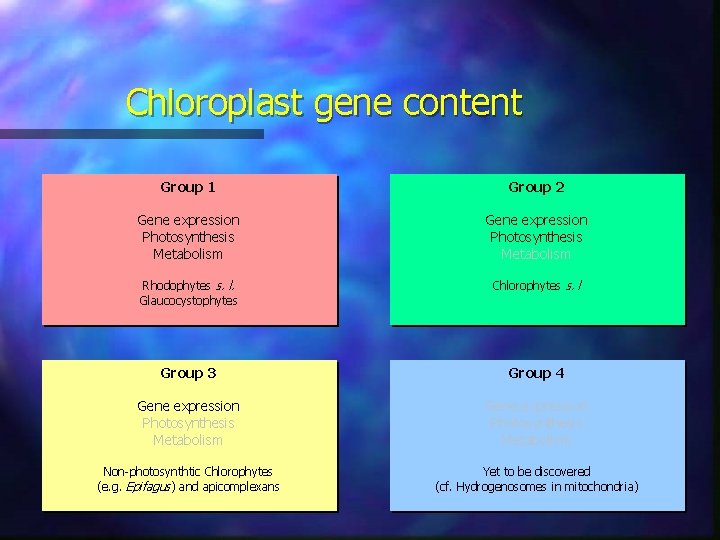 Chloroplast gene content Group 1 Group 2 Gene expression Photosynthesis Metabolism Rhodophytes s. l.