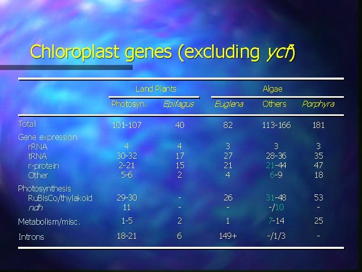 Chloroplast genes (excluding ycf) Land Plants Epifagus Euglena Others Porphyra 101 -107 40 82