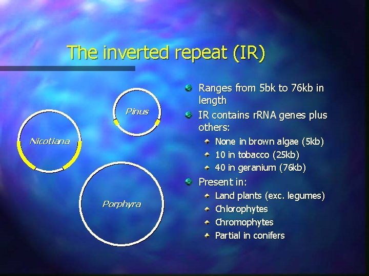 The inverted repeat (IR) Pinus Ranges from 5 bk to 76 kb in length