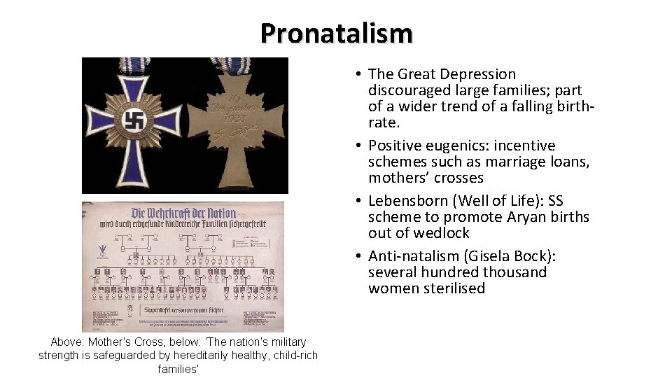 Pronatalism • The Great Depression discouraged large families; part of a wider trend of