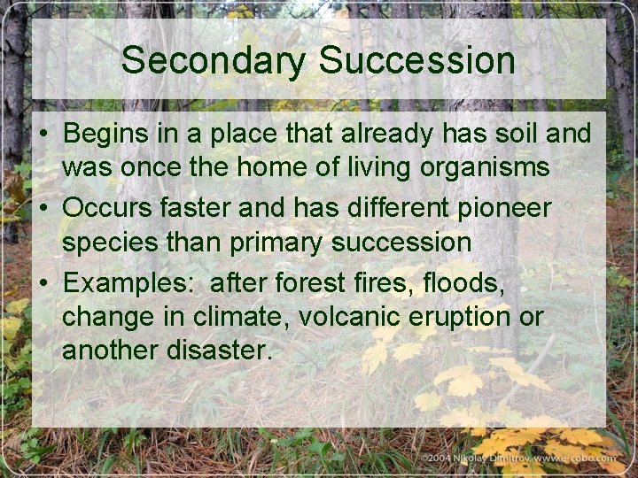Secondary Succession • Begins in a place that already has soil and was once
