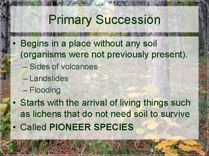 Primary Succession • Begins in a place without any soil (organisms were not previously