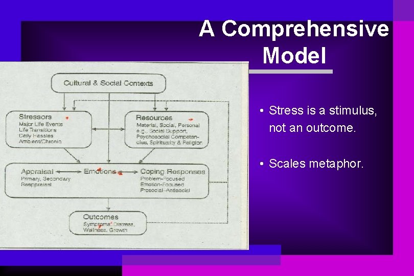A Comprehensive Model • Stress is a stimulus, not an outcome. • Scales metaphor.