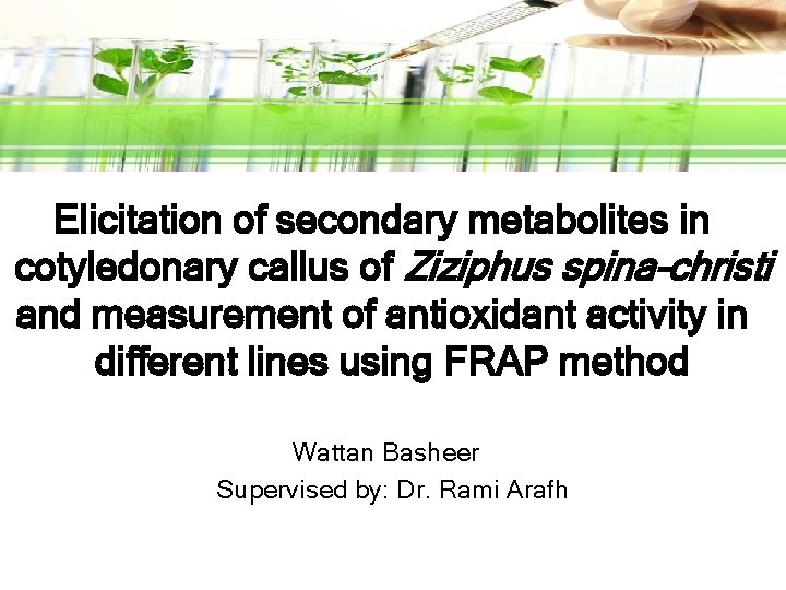 Elicitation of secondary metabolites in cotyledonary callus of Ziziphus spina-christi and measurement of antioxidant