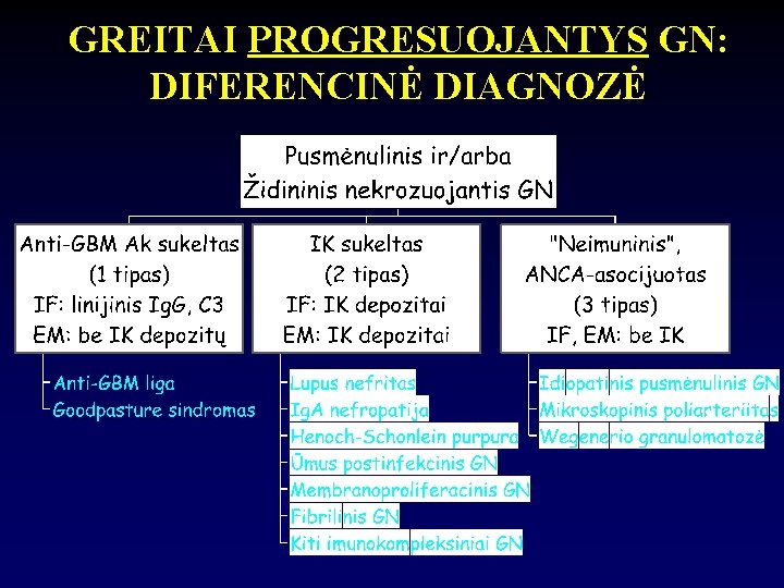 GREITAI PROGRESUOJANTYS GN: DIFERENCINĖ DIAGNOZĖ 