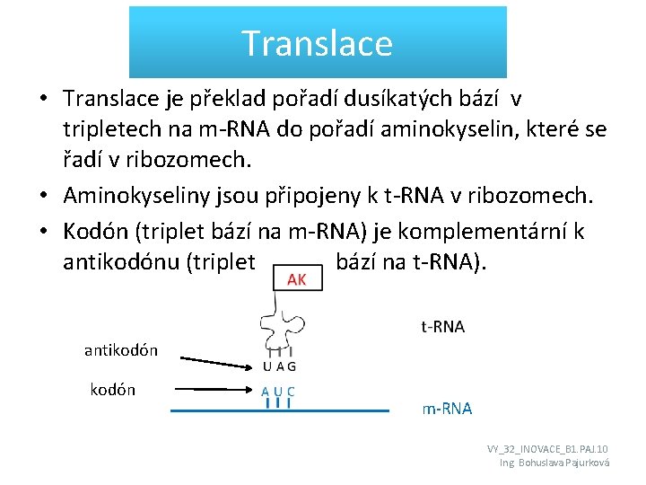 Translace • Translace je překlad pořadí dusíkatých bází v tripletech na m-RNA do pořadí