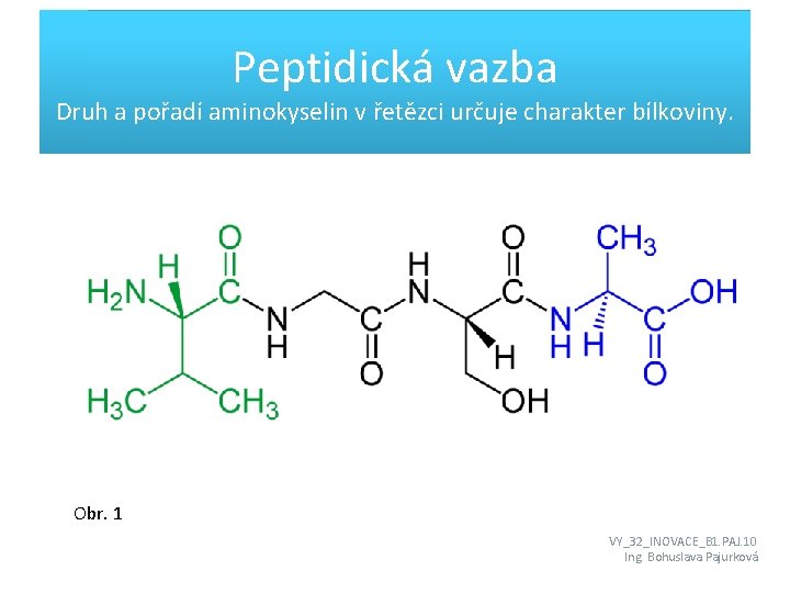 Peptidická vazba Druh a pořadí aminokyselin v řetězci určuje charakter bílkoviny. Obr. 1 VY_32_INOVACE_B