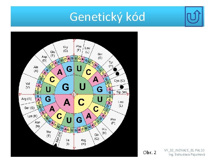 Genetický kód Obr. 2 VY_32_INOVACE_B 1. PAJ. 10 Ing. Bohuslava Pajurková 