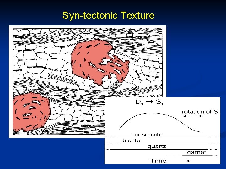 Syn-tectonic Texture 