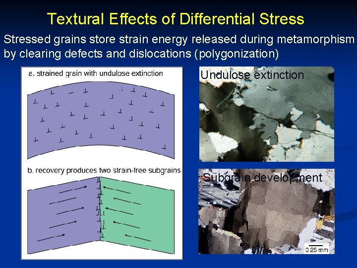 Textural Effects of Differential Stressed grains store strain energy released during metamorphism by clearing
