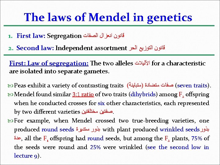 The laws of Mendel in genetics 1. First law: Segregation ﻗﺎﻧﻮﻥ ﺍﻧﻌﺰﺍﻝ ﺍﻟﺼﻔﺎﺕ 2.