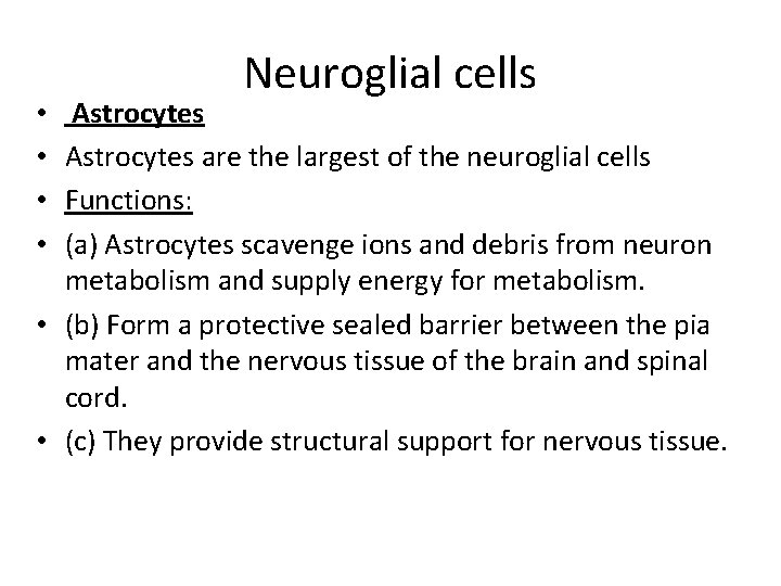Neuroglial cells Astrocytes are the largest of the neuroglial cells Functions: (a) Astrocytes scavenge