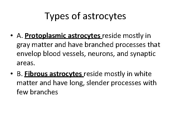 Types of astrocytes • A. Protoplasmic astrocytes reside mostly in gray matter and have