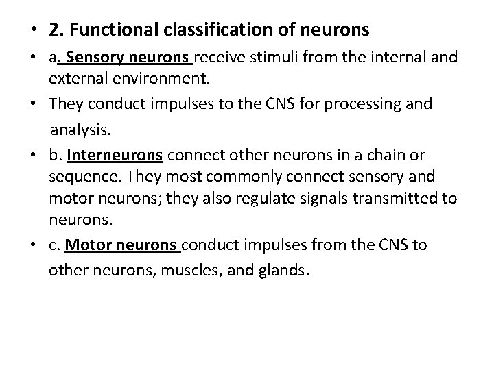  • 2. Functional classification of neurons • a. Sensory neurons receive stimuli from