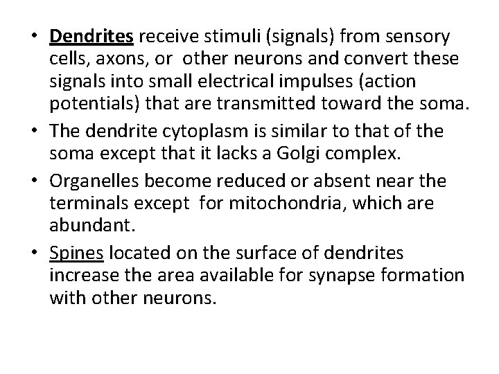  • Dendrites receive stimuli (signals) from sensory cells, axons, or other neurons and