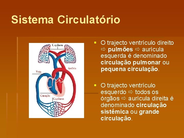 Sistema Circulatório § O trajecto ventrículo direito pulmões aurícula esquerda é denominado circulação pulmonar