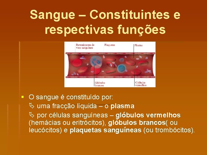 Sangue – Constituintes e respectivas funções § O sangue é constituído por: uma fracção