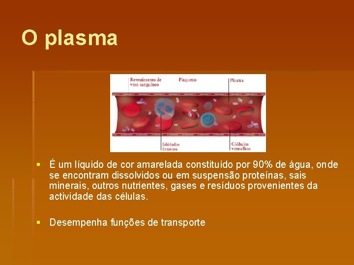 O plasma § É um líquido de cor amarelada constituído por 90% de água,