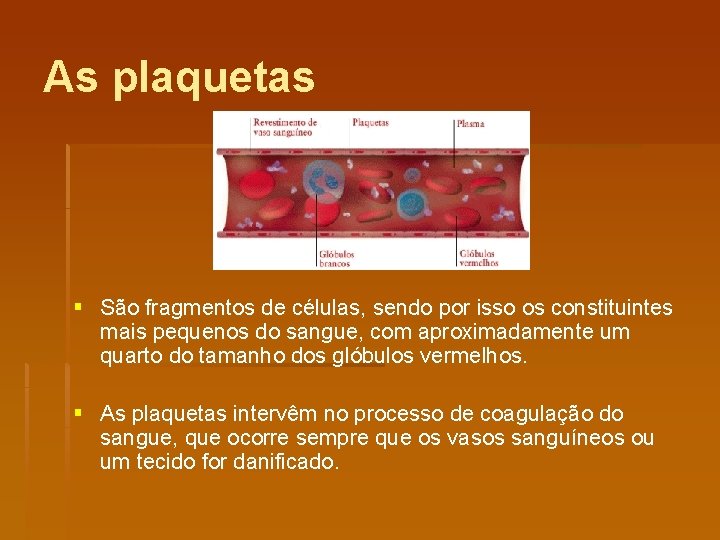As plaquetas § São fragmentos de células, sendo por isso os constituintes mais pequenos