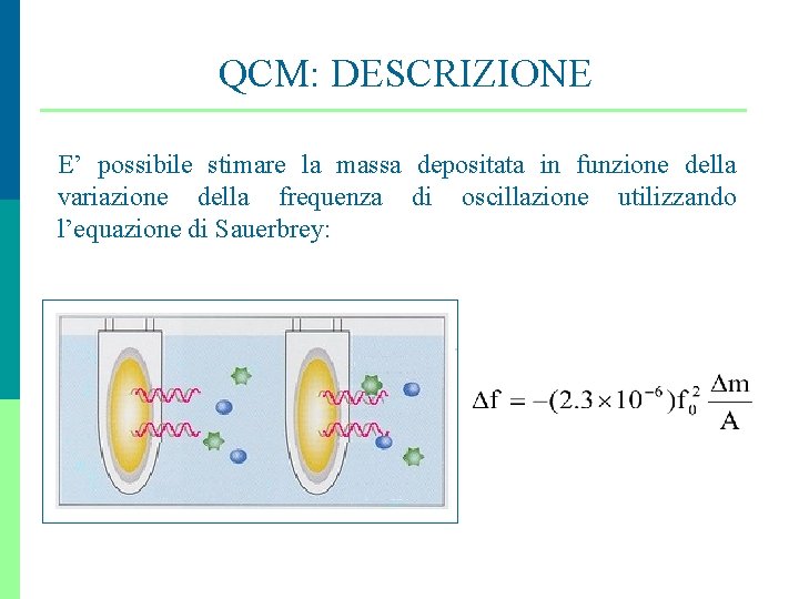 QCM: DESCRIZIONE E’ possibile stimare la massa depositata in funzione della variazione della frequenza