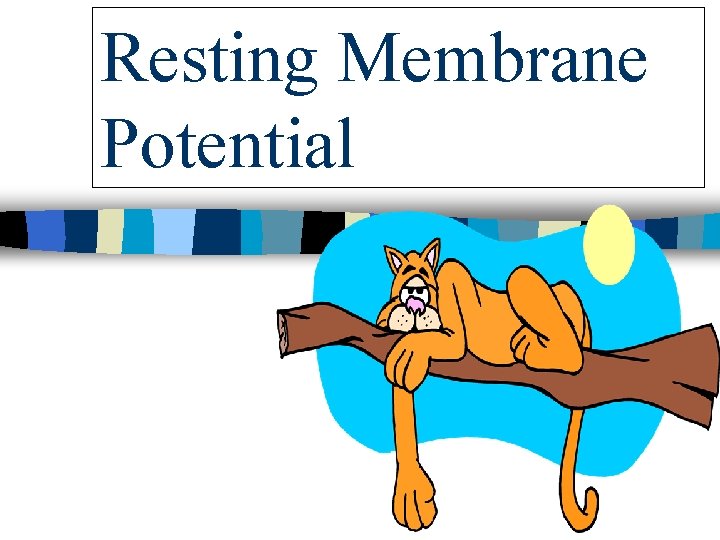 Resting Membrane Potential 